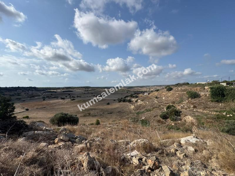İSKELE ZİYAMET'DE YATIRIMLIK ARSA NİTELİKLİ  ARAZİ 