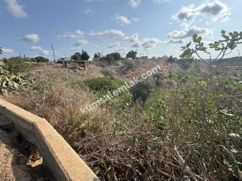 İSKELE ZİYAMET'DE YATIRIMLIK ARSA NİTELİKLİ  ARAZİ 