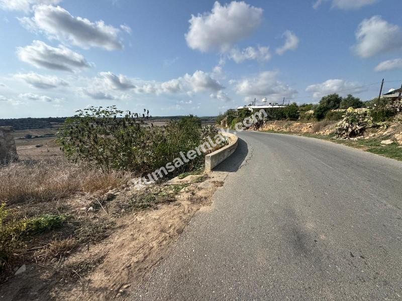 İSKELE ZİYAMET'DE YATIRIMLIK ARSA NİTELİKLİ  ARAZİ 