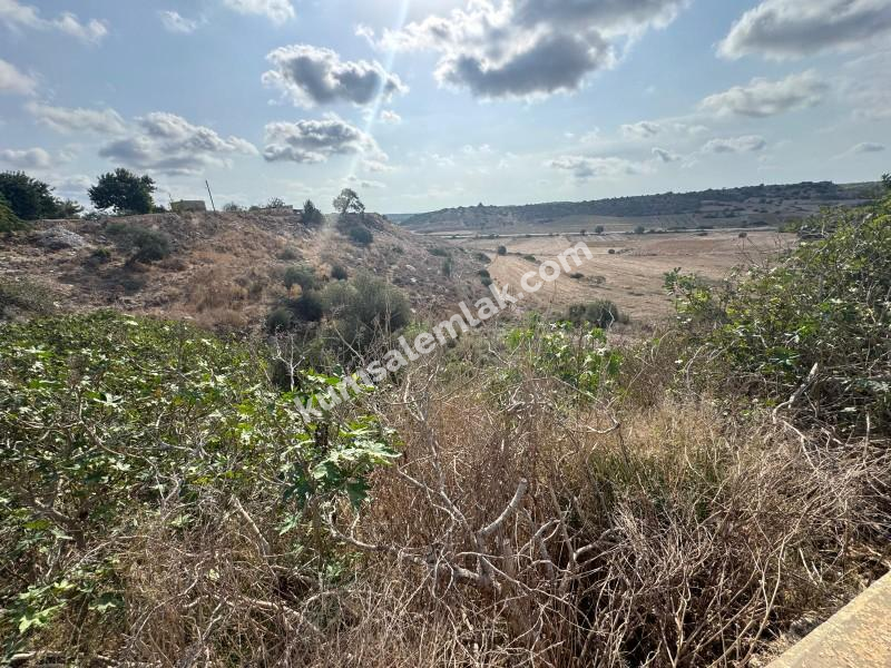 İSKELE ZİYAMET'DE YATIRIMLIK ARSA NİTELİKLİ  ARAZİ 