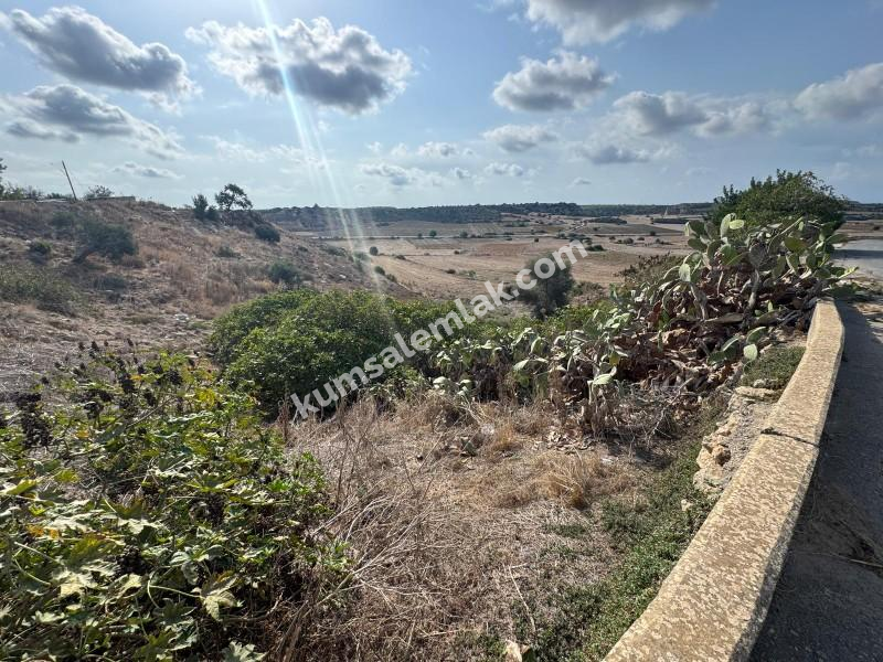 İSKELE ZİYAMET'DE YATIRIMLIK ARSA NİTELİKLİ  ARAZİ 