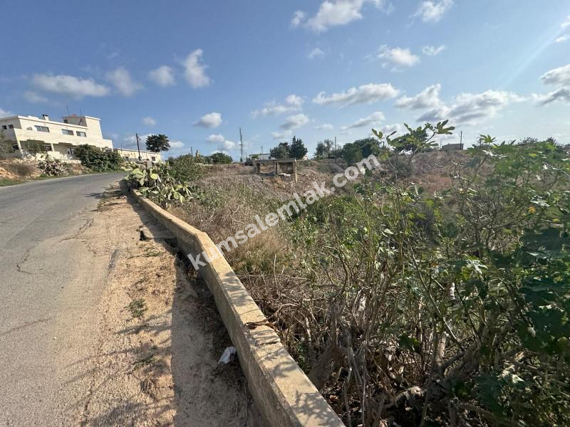 İSKELE ZİYAMET'DE YATIRIMLIK ARSA NİTELİKLİ  ARAZİ 