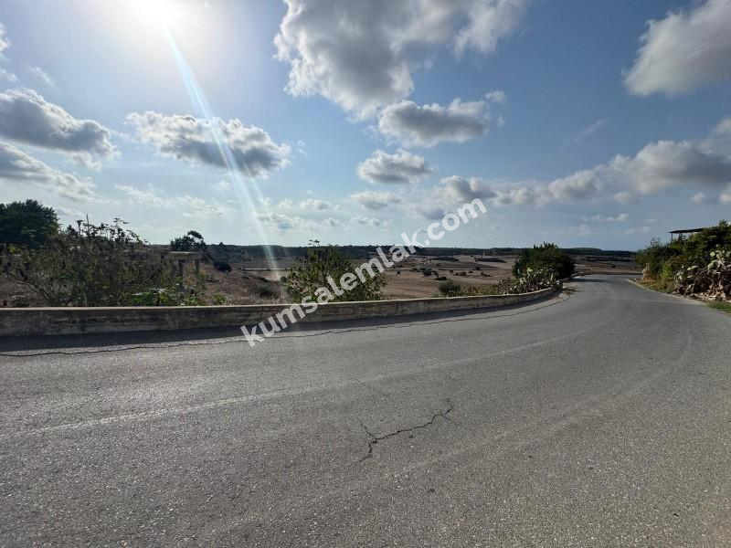 İSKELE ZİYAMET'DE YATIRIMLIK ARSA NİTELİKLİ  ARAZİ 