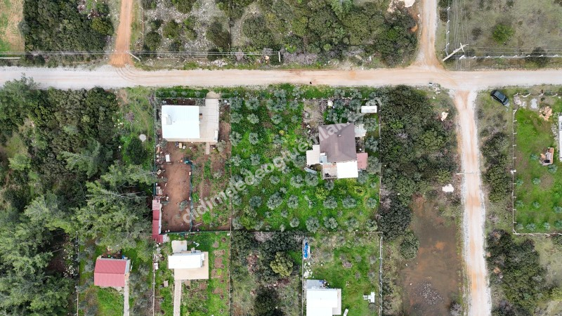 Didim Seyrantepede 2 Adet Yan Yana Satılık 1.250 m2 Arsa