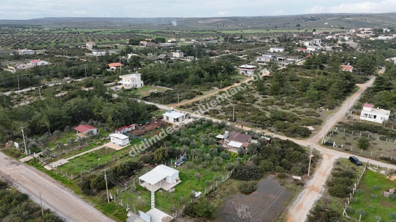 Didim Seyrantepede 2 Adet Yan Yana Satılık 1.250 m2 Arsa