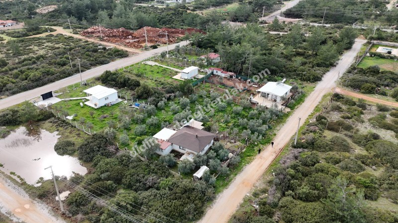 Didim Seyrantepede 2 Adet Yan Yana Satılık 1.250 m2 Arsa
