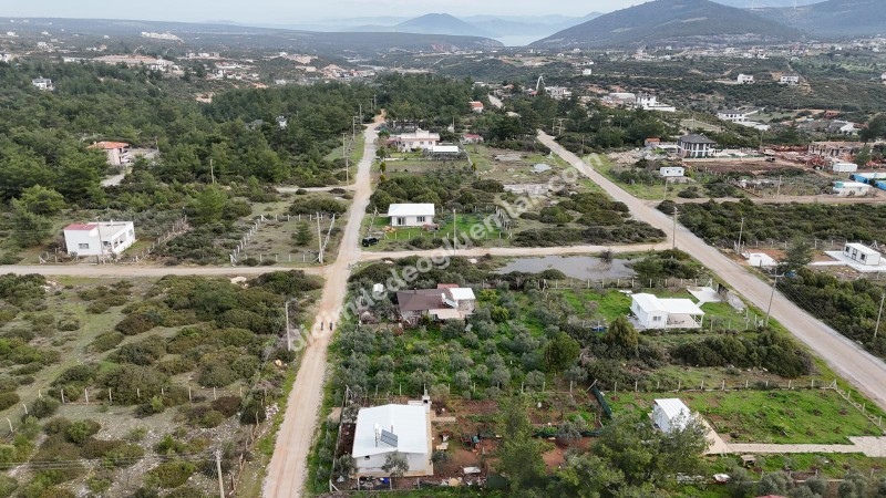 Didim Seyrantepede 2 Adet Yan Yana Satılık 1.250 m2 Arsa