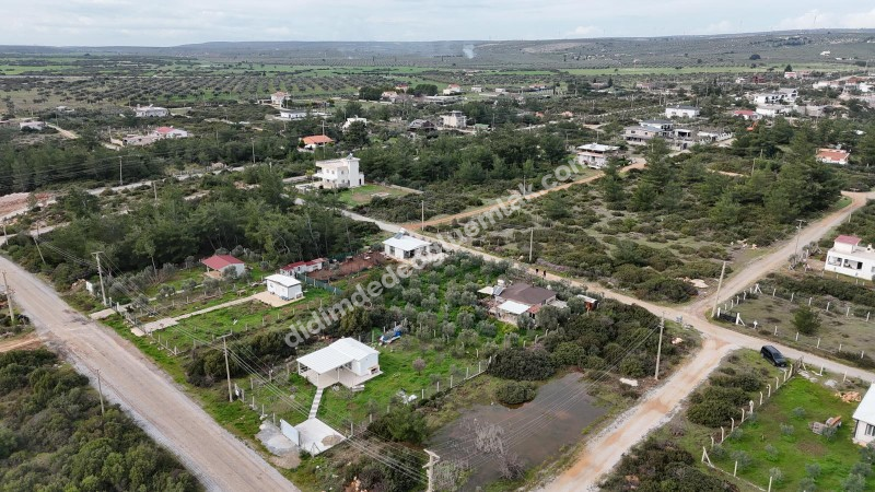 Didim Seyrantepede 2 Adet Yan Yana Satılık 1.250 m2 Arsa