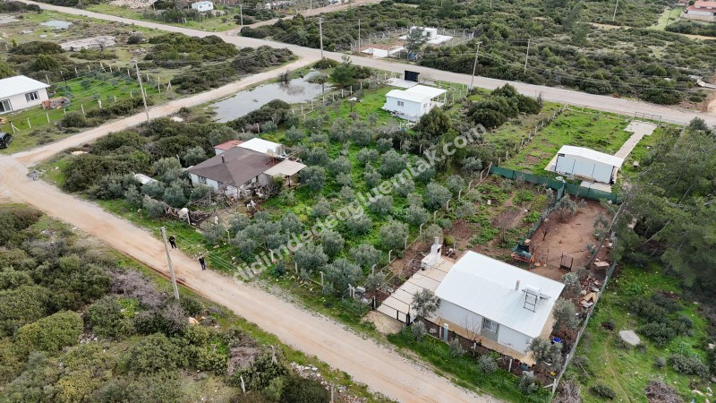 Didim Seyrantepede 2 Adet Yan Yana Satılık 1.250 m2 Arsa