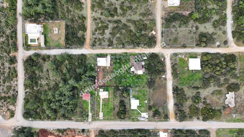 Didim Seyrantepede 2 Adet Yan Yana Satılık 1.250 m2 Arsa