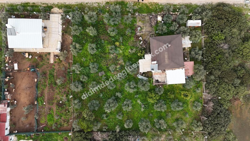 Didim Seyrantepede 2 Adet Yan Yana Satılık 1.250 m2 Arsa