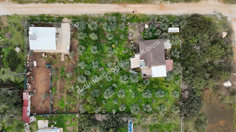 Didim Seyrantepede 2 Adet Yan Yana Satılık 1.250 m2 Arsa