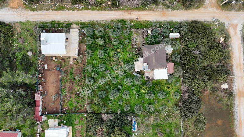 Didim Seyrantepede 2 Adet Yan Yana Satılık 1.250 m2 Arsa