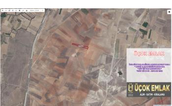 AFYON ÜÇOK EMLATAN İHSANİYE YAYLABAĞI KASABASINDA 5.742M² YATIRIMLIK TARLA 