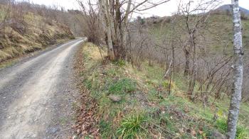 BEŞİKDÜZÜ AĞAÇLI'DA SATILIK 1928 M2 BAHÇE