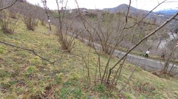 BEŞİKDÜZÜ AĞAÇLI'DA SATILIK 1928 M2 BAHÇE