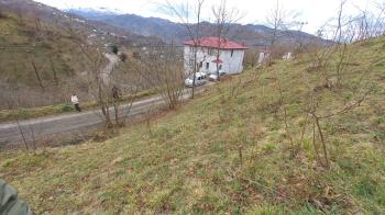 BEŞİKDÜZÜ AĞAÇLI'DA SATILIK 1928 M2 BAHÇE