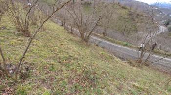 BEŞİKDÜZÜ AĞAÇLI'DA SATILIK 1928 M2 BAHÇE