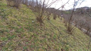 BEŞİKDÜZÜ AĞAÇLI'DA SATILIK 1928 M2 BAHÇE