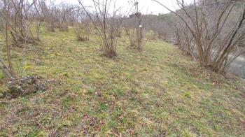 BEŞİKDÜZÜ AĞAÇLI'DA SATILIK 1928 M2 BAHÇE