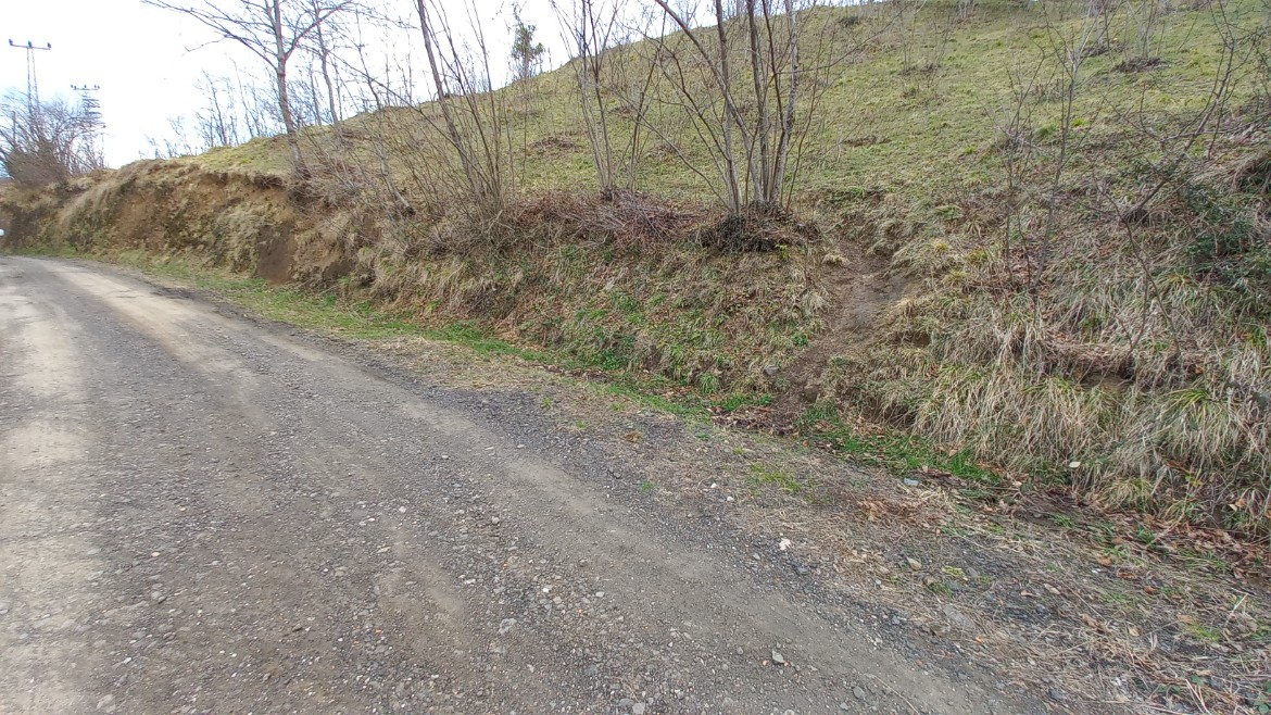 BEŞİKDÜZÜ AĞAÇLI'DA SATILIK 1928 M2 BAHÇE