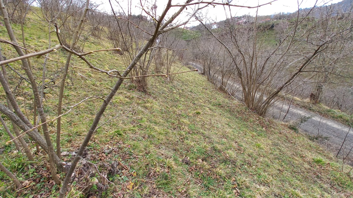 BEŞİKDÜZÜ AĞAÇLI'DA SATILIK 1928 M2 BAHÇE