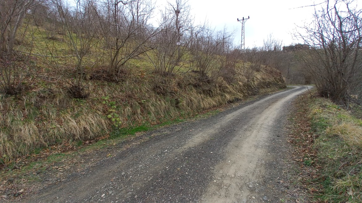 BEŞİKDÜZÜ AĞAÇLI'DA SATILIK 1928 M2 BAHÇE