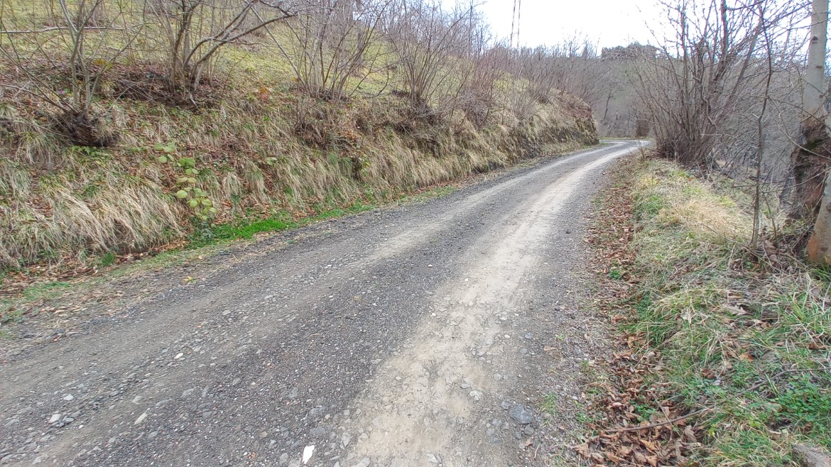 BEŞİKDÜZÜ AĞAÇLI'DA SATILIK 1928 M2 BAHÇE