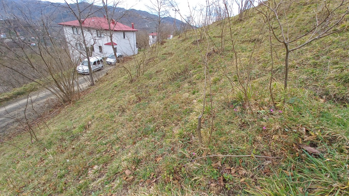 BEŞİKDÜZÜ AĞAÇLI'DA SATILIK 1928 M2 BAHÇE