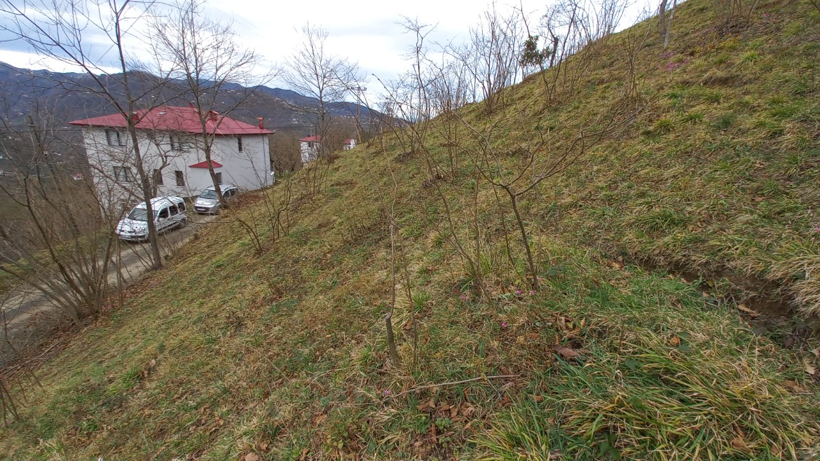 BEŞİKDÜZÜ AĞAÇLI'DA SATILIK 1928 M2 BAHÇE