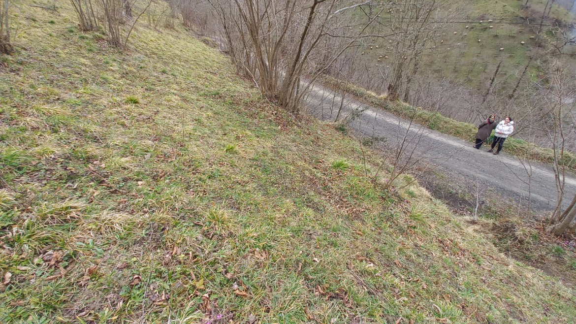 BEŞİKDÜZÜ AĞAÇLI'DA SATILIK 1928 M2 BAHÇE