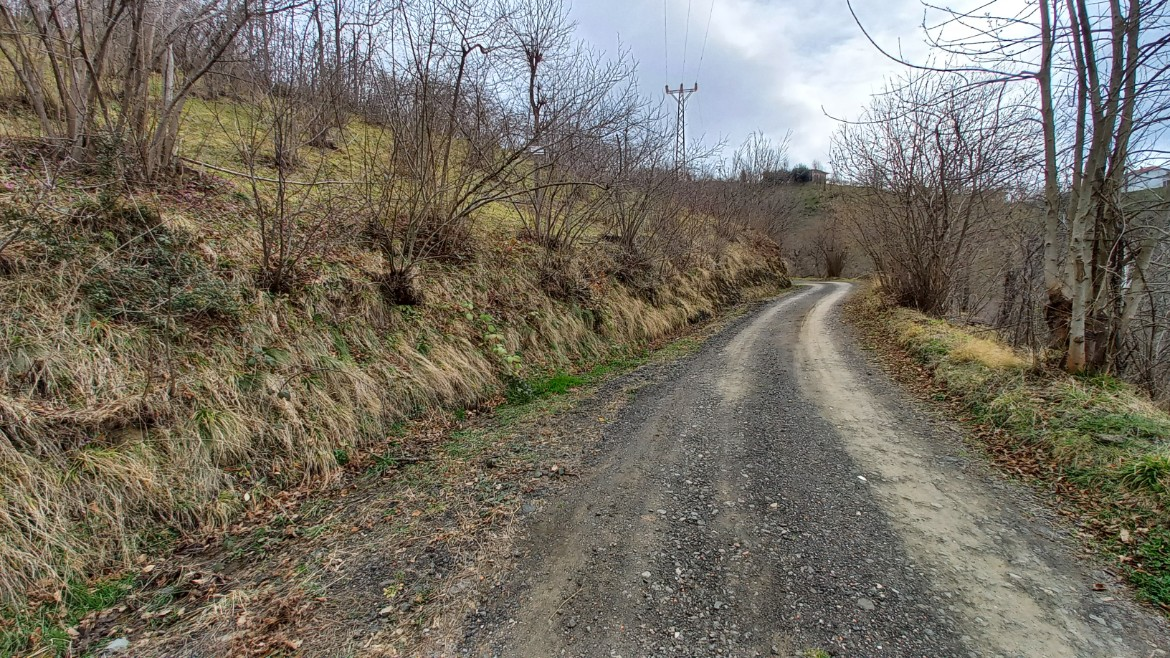 BEŞİKDÜZÜ AĞAÇLI'DA SATILIK 1928 M2 BAHÇE