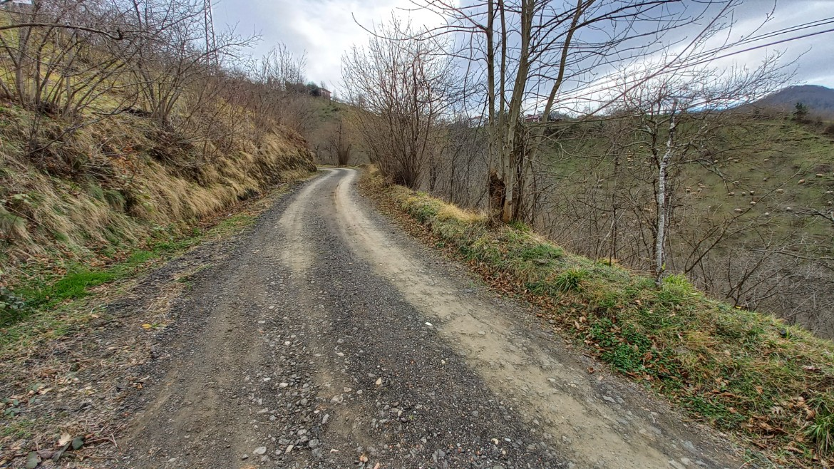 BEŞİKDÜZÜ AĞAÇLI'DA SATILIK 1928 M2 BAHÇE