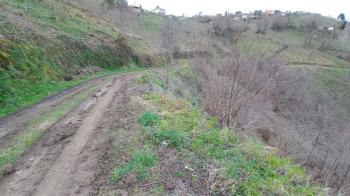 BEŞİKDÜZÜ KUTLUCA'DA SATILIK 4.138 M2 ARAZİ