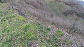 BEŞİKDÜZÜ KUTLUCA'DA SATILIK 4.138 M2 ARAZİ