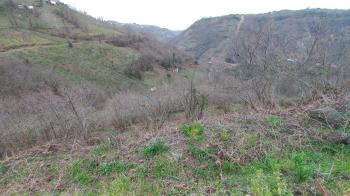 BEŞİKDÜZÜ KUTLUCA'DA SATILIK 4.138 M2 ARAZİ