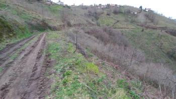 BEŞİKDÜZÜ KUTLUCA'DA SATILIK 4.138 M2 ARAZİ