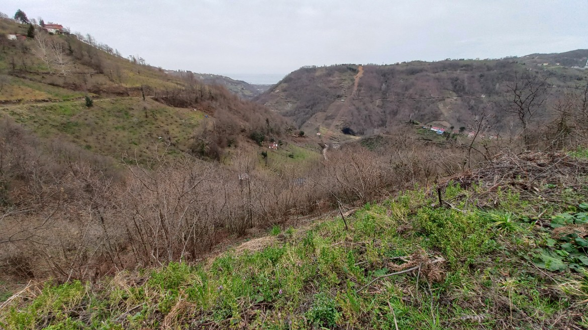 BEŞİKDÜZÜ KUTLUCA'DA SATILIK 4.138 M2 ARAZİ