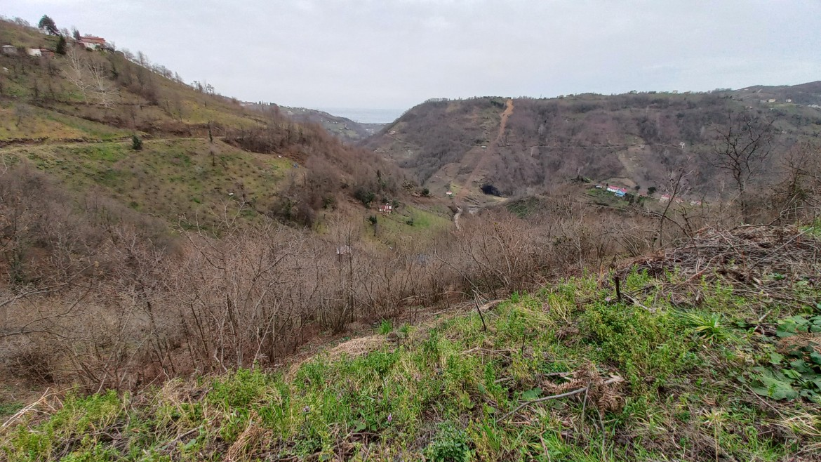 BEŞİKDÜZÜ KUTLUCA'DA SATILIK 4.138 M2 ARAZİ