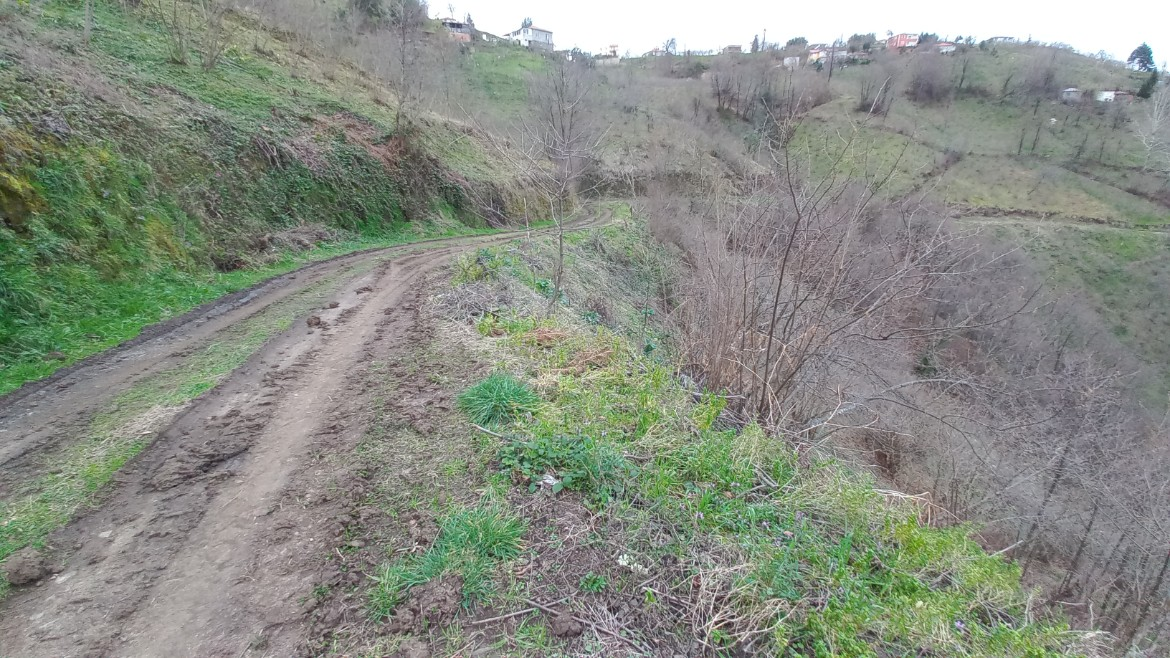 BEŞİKDÜZÜ KUTLUCA'DA SATILIK 4.138 M2 ARAZİ