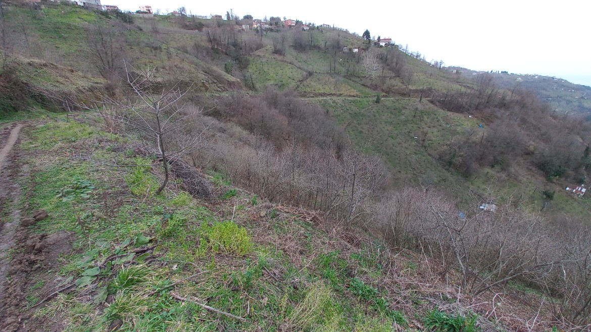 BEŞİKDÜZÜ KUTLUCA'DA SATILIK 4.138 M2 ARAZİ