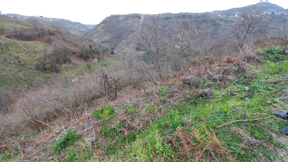 BEŞİKDÜZÜ KUTLUCA'DA SATILIK 4.138 M2 ARAZİ