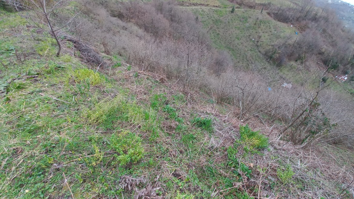 BEŞİKDÜZÜ KUTLUCA'DA SATILIK 4.138 M2 ARAZİ