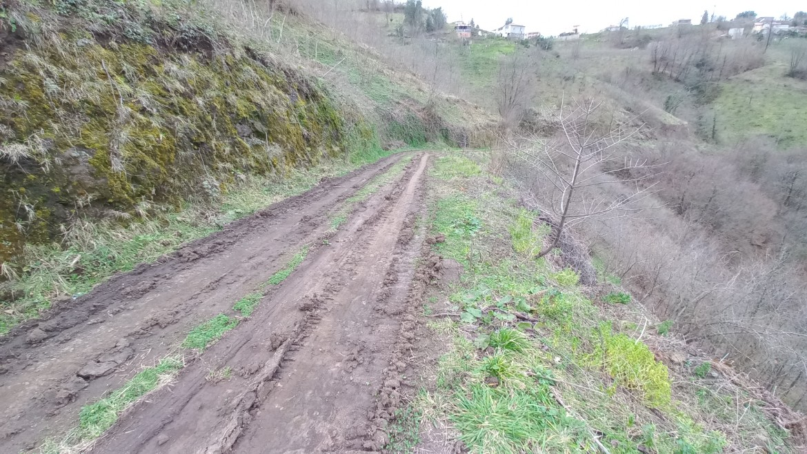 BEŞİKDÜZÜ KUTLUCA'DA SATILIK 4.138 M2 ARAZİ