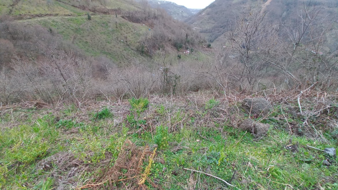 BEŞİKDÜZÜ KUTLUCA'DA SATILIK 4.138 M2 ARAZİ