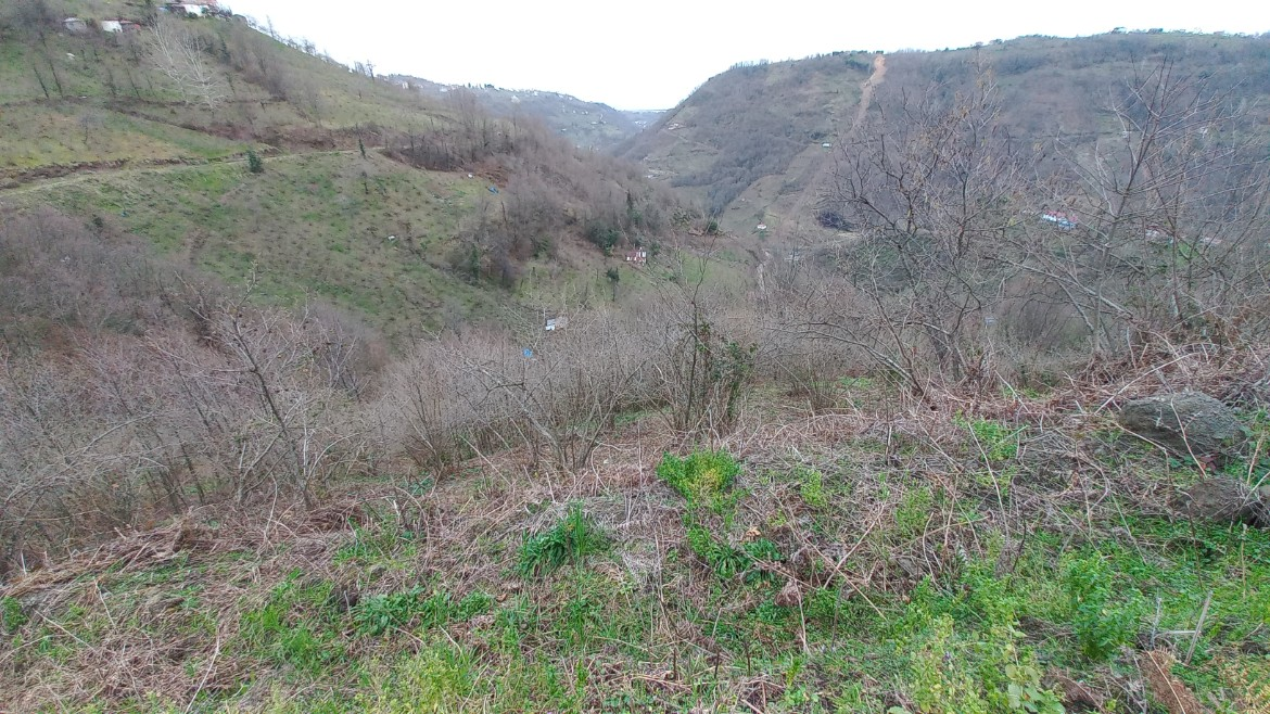 BEŞİKDÜZÜ KUTLUCA'DA SATILIK 4.138 M2 ARAZİ