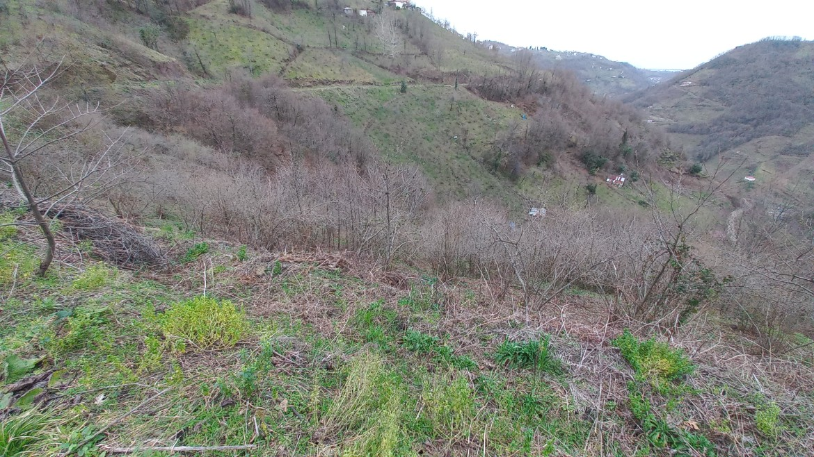 BEŞİKDÜZÜ KUTLUCA'DA SATILIK 4.138 M2 ARAZİ