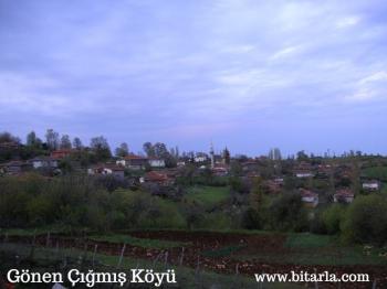 Balıkesir Gönen Çığmış Köyünde Satılık Tarla