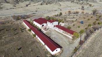 GÜVENAY - ÇORUM UĞURLUDAĞ YEŞİLYURT MAHALLESİ SATILIK BÜYÜK BAŞ BESİ ÇİFTLİĞİ