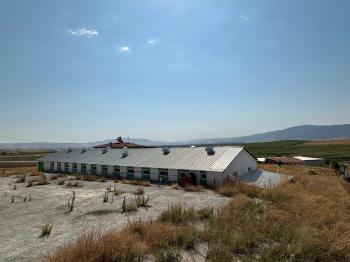 GÜVENAY - ÇORUM ANKARA YOLU ÜZERİ  SATILIK BÜYÜK BAŞ BESİ ÇİFTLİĞİ
